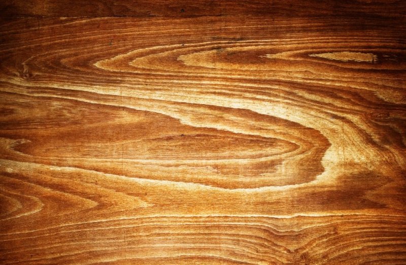 Текстура дерева