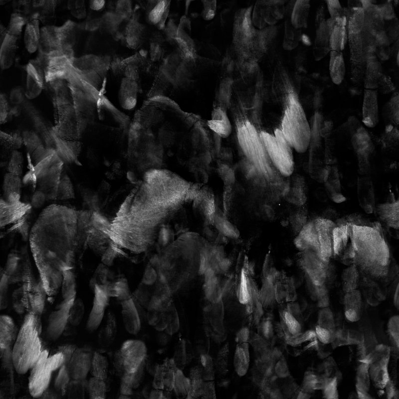 Текстура отпечатков