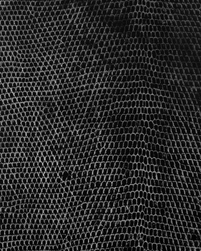 Текстура кожи