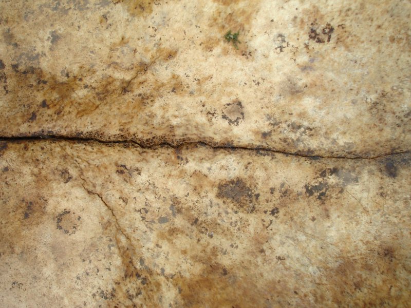 Цвет старой кости