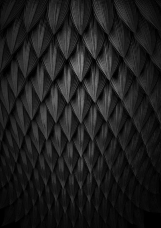 Черная чешуя