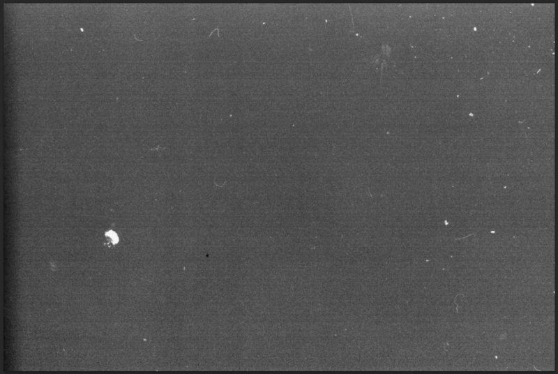 Скан пленочного зерна Ilford Delta 400pr