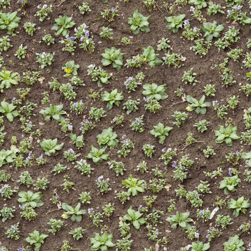 Текстура грядки