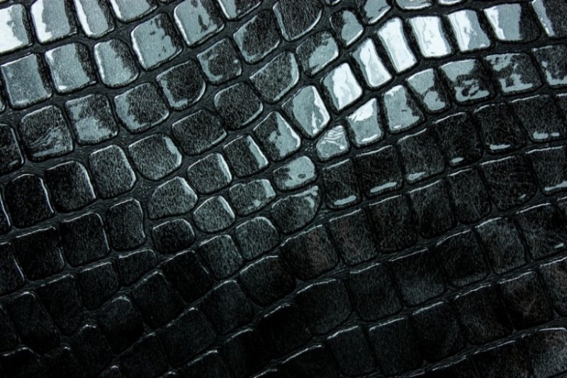 Черная змеиная кожа