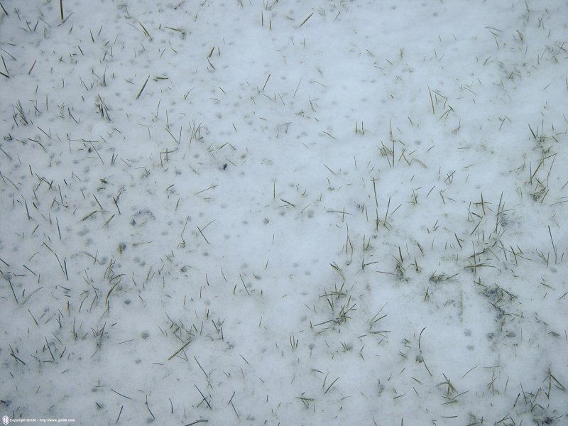 Текстура травы со снегом