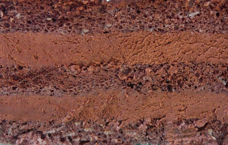 Бисквит текстура