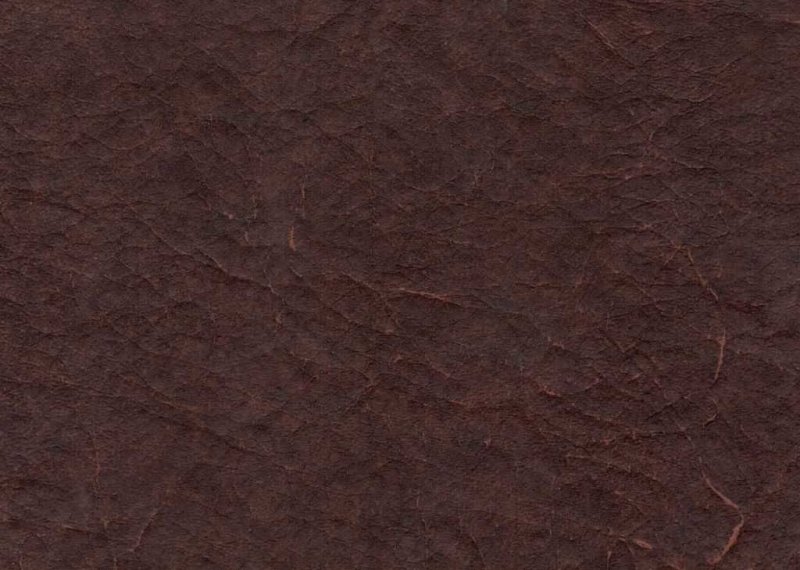 Коричневая кожа