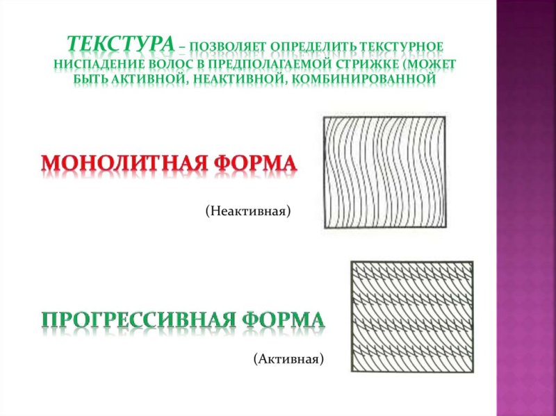 Структура прогрессивной формы стрижки