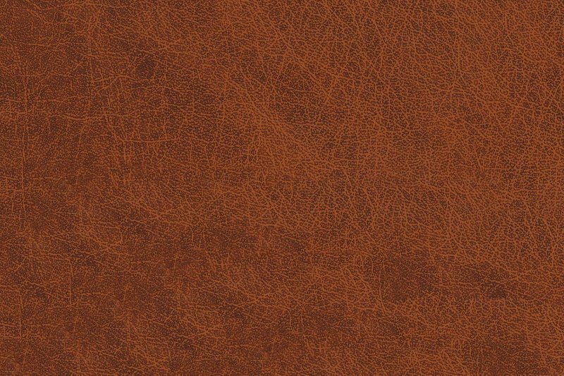 Фактура кожи