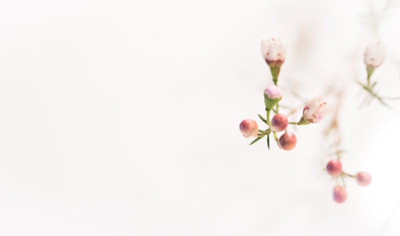 Красивый светлый фон