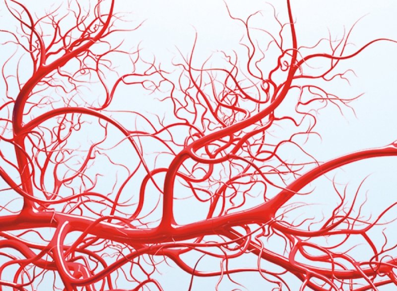 Мелкие кровеносные сосуды