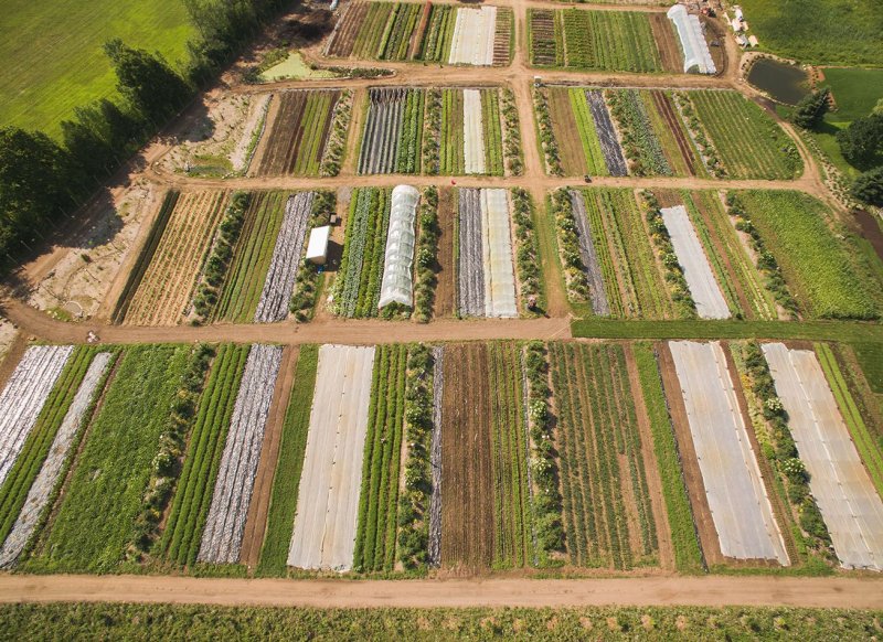 Пермакультура фермы США