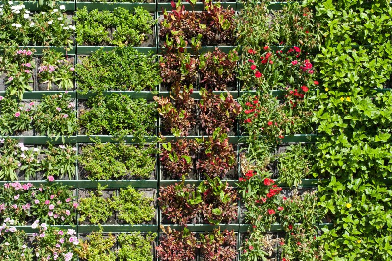 Текстура грядки