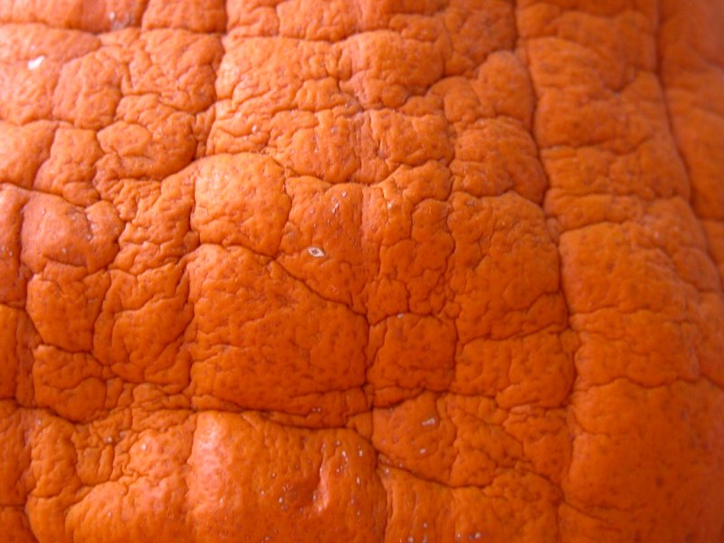 Фактура тыквы