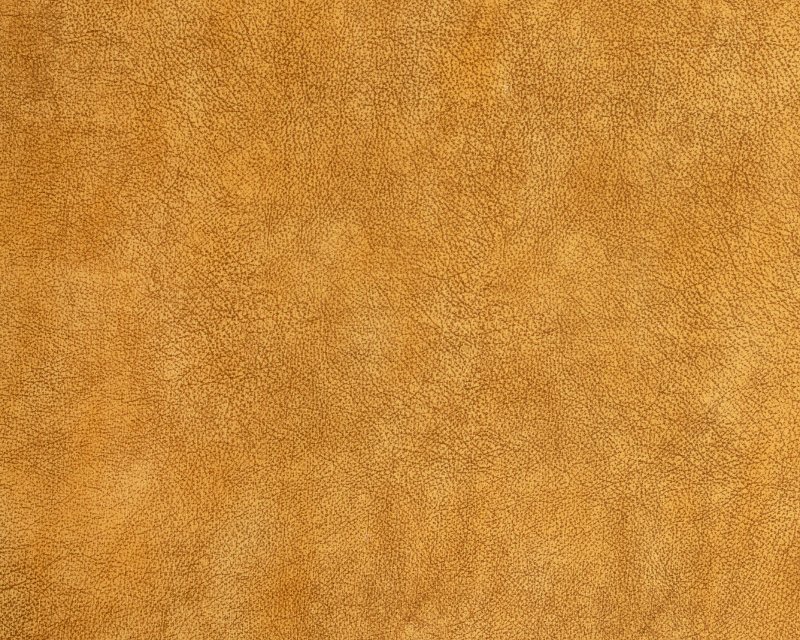 Фактура кожи