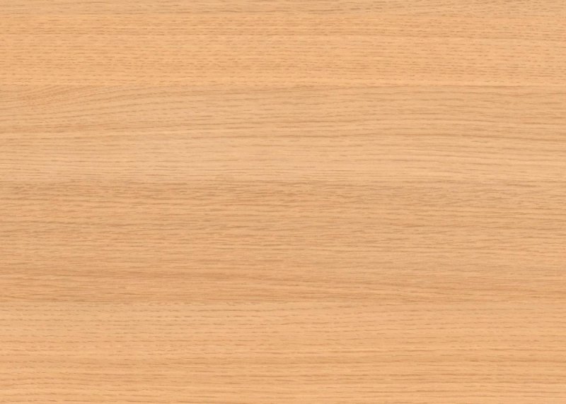 Вишня Верона h1615 st9