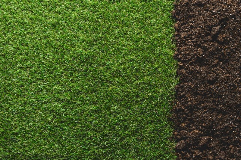 Дёрн вид сверху