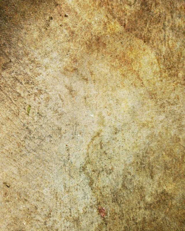 Кость текстура