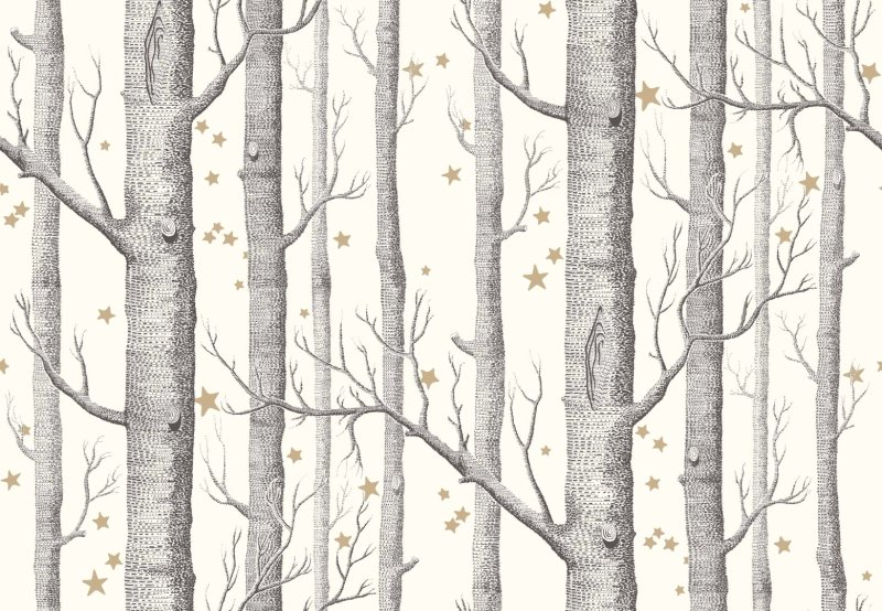 Английские обои Cole & son, коллекция the Contemporary collection, артикул 95-5027