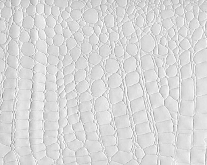Кожа крокодила белая