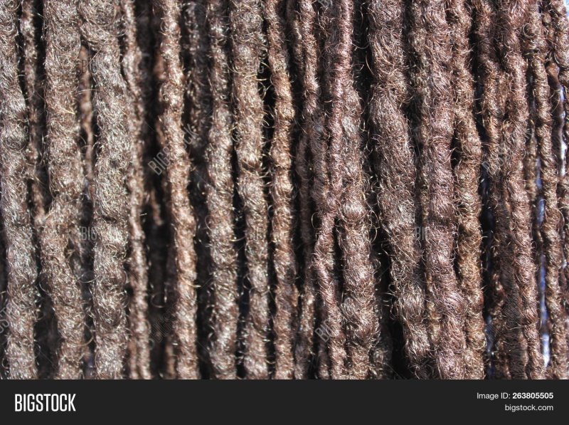 Дреды ТЕКТРУА