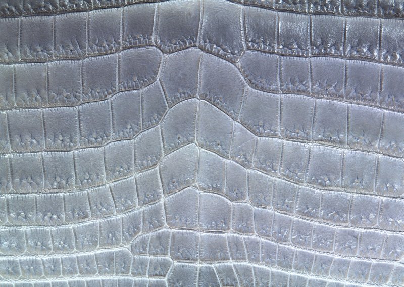 Кожа крокодила Гималаи
