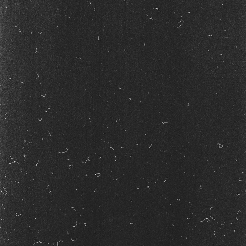 Текстура пленки