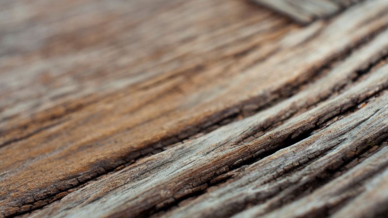 Сандаловое дерево текстура