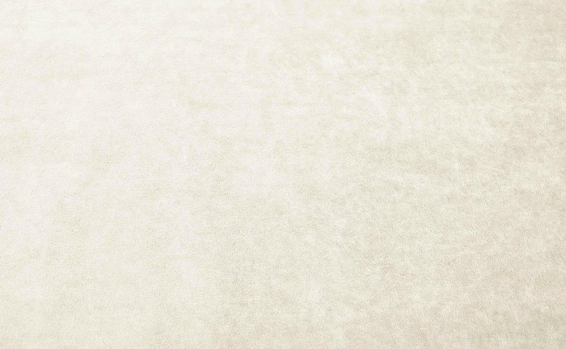 Бежевый велюр