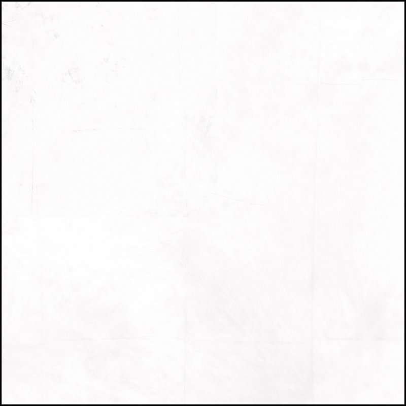 Белый цвет однотонный