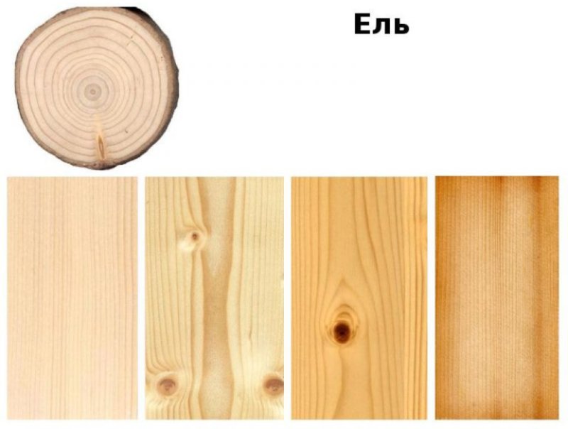 Разница древесины лиственница сосна кедр ель