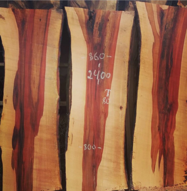 Груша срез древесины