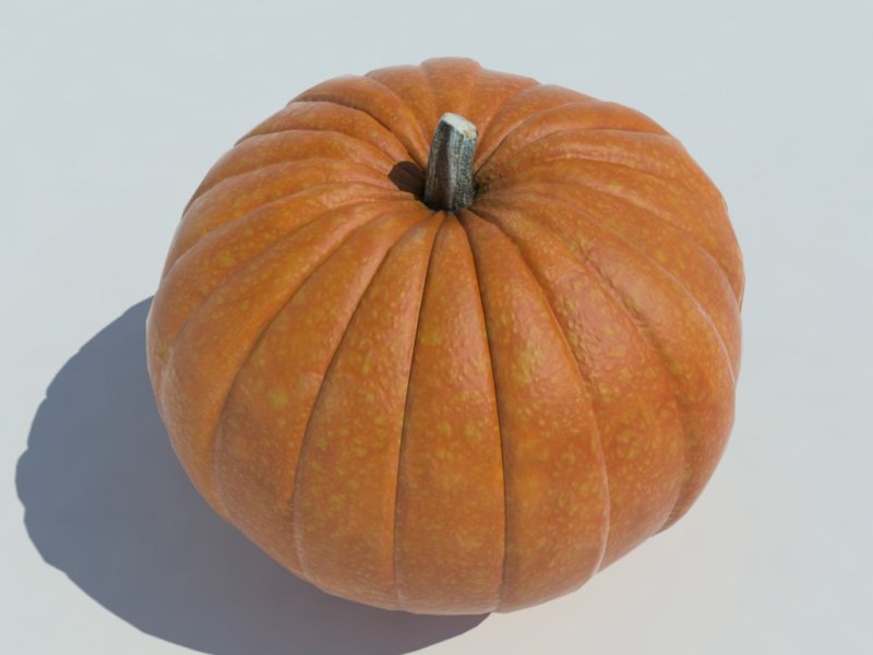 Фактура тыквы