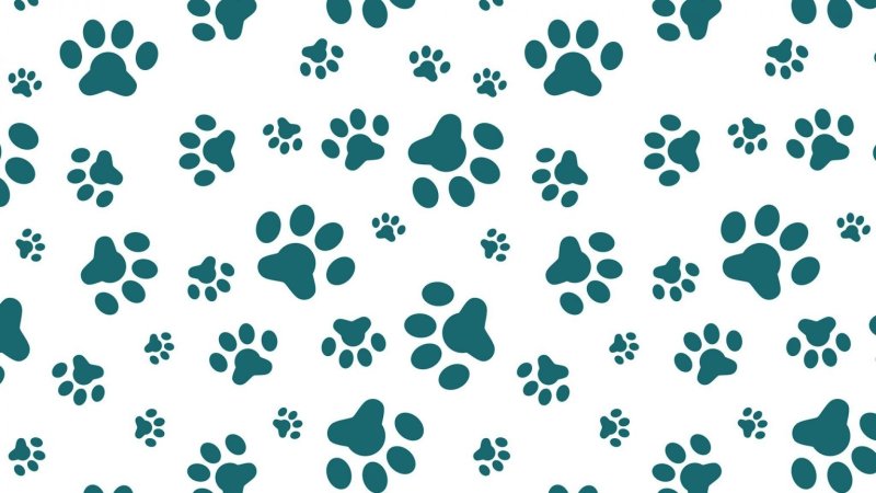 Фон кошачьи лапки