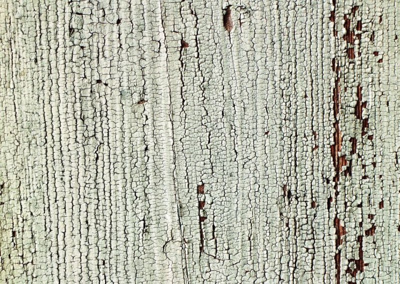 Береза текстура древесины