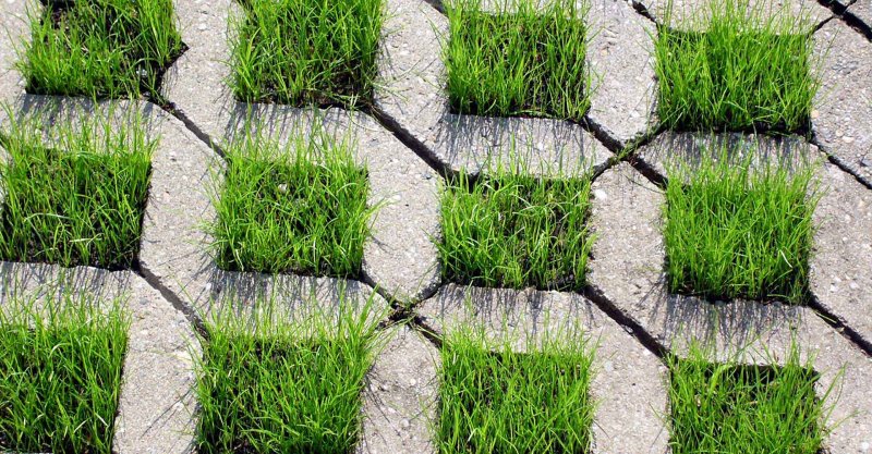 Экопарковка газонная решетка