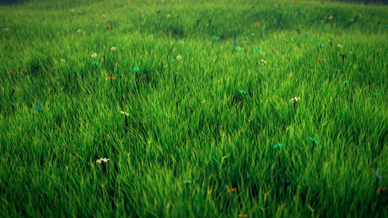 Трава Поляна