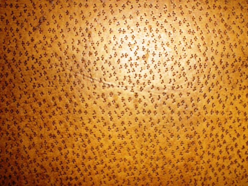 Натуральная свиная кожа