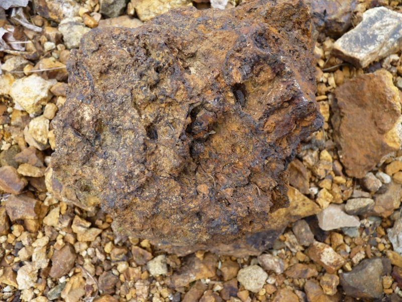 Болотные руды лимонит