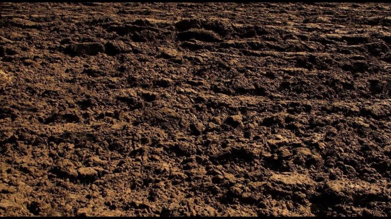 Плодородный бурый грунт