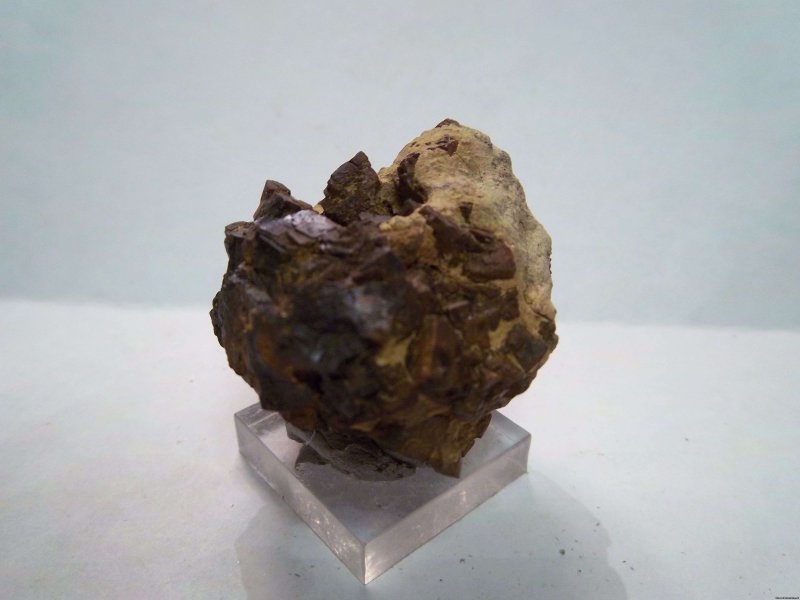 Бурый Железняк