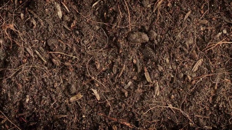 Грунт текстура