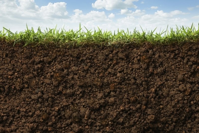 Текстура земли