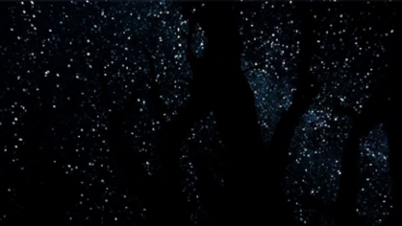 Мерцающее звездное небо