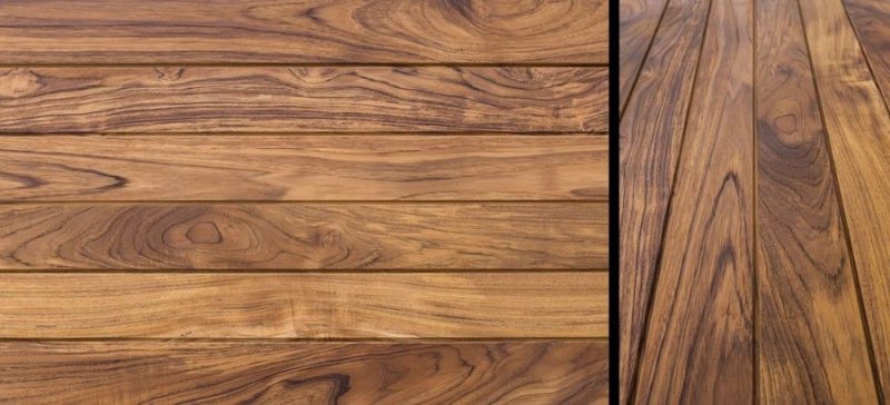 Тиковое дерево