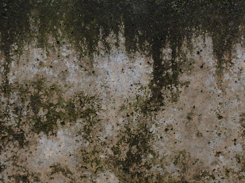 Grange Dirt бесшовная