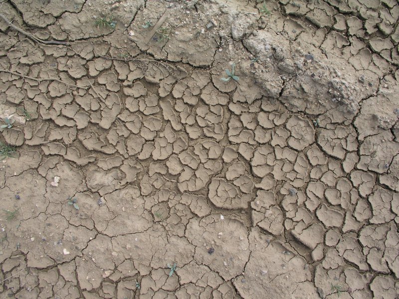 Текстура засохшей грязи