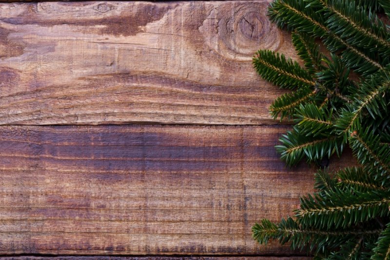 Еловая древесина