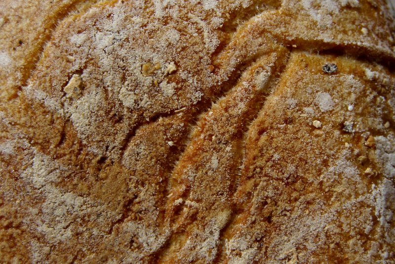 Текстура корки хлеба