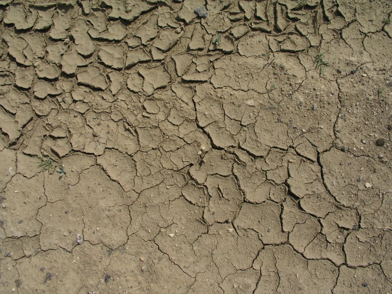 Текстура грязи